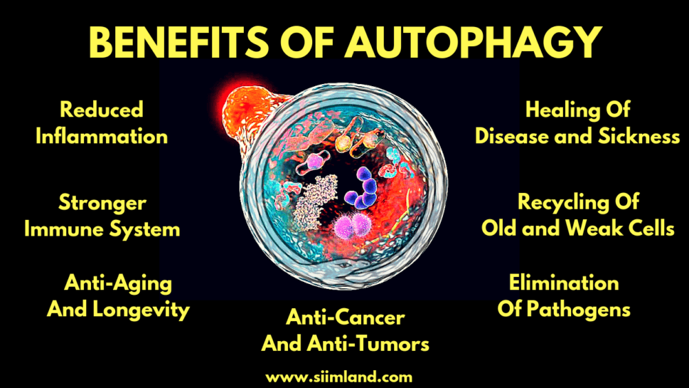 BENEFITS OF AUTOPHAGY